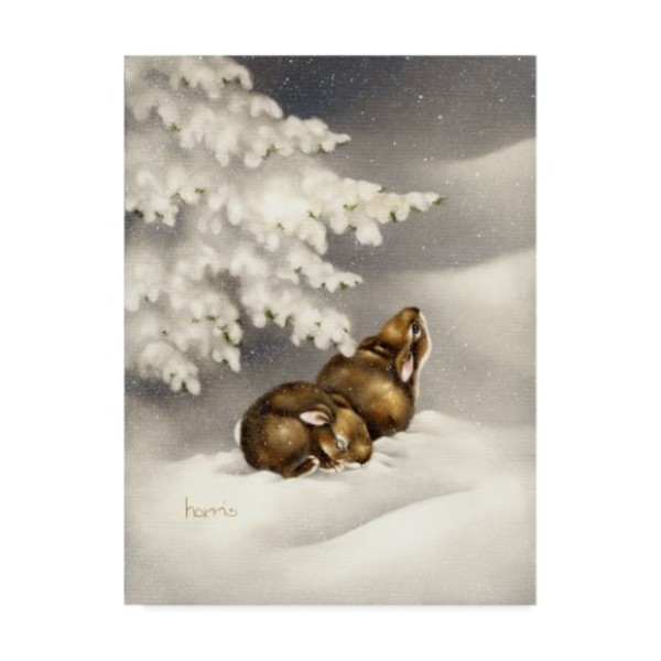 Trademark Fine Art Peggy Harris 'Peace On Earth Rabbit' Canvas Art, 14x19 ALI42405-C1419GG